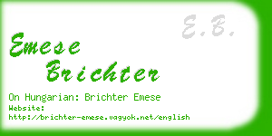 emese brichter business card